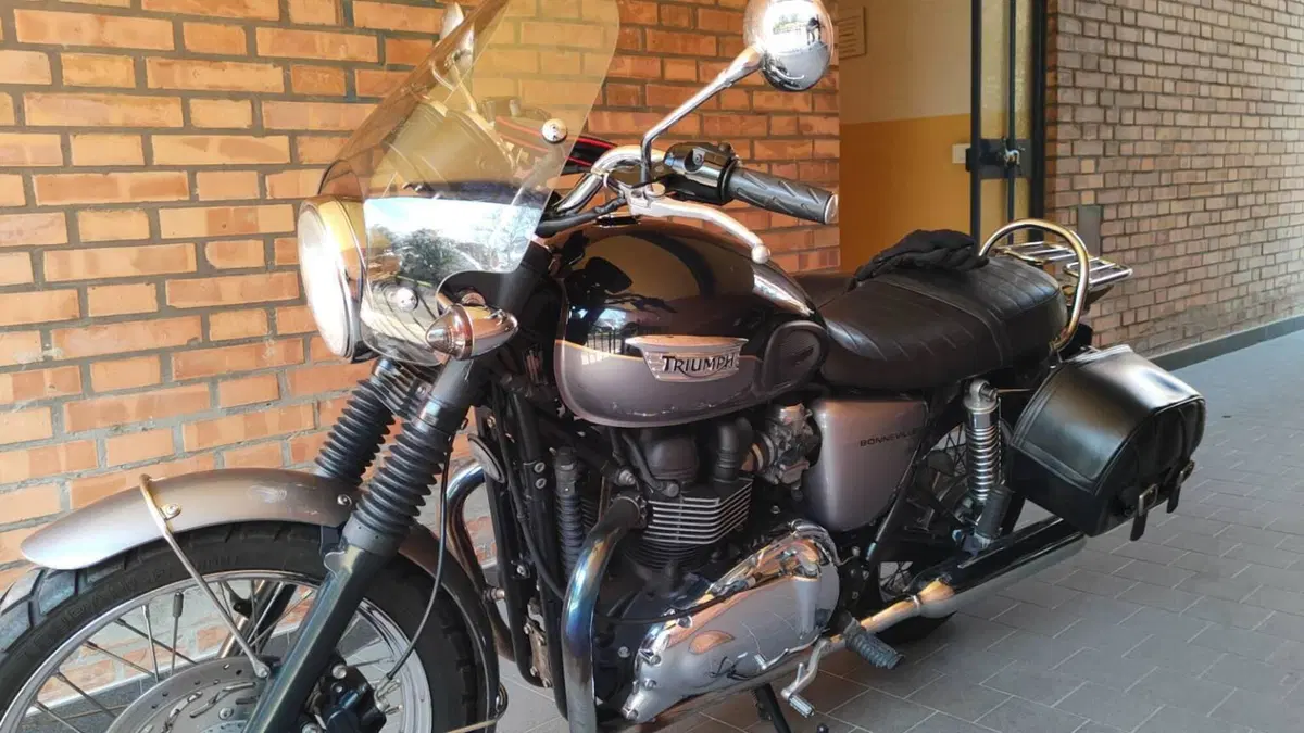 Triumph Bonneville T100 (2008 - 16)  (7)