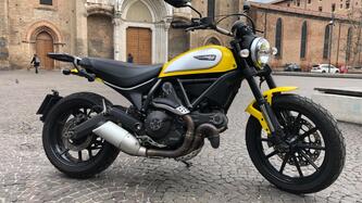 Ducati Scrambler 800 Icon (2015 - 16) usata