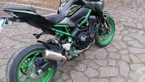 Kawasaki Z 900 (2021 - 24) 