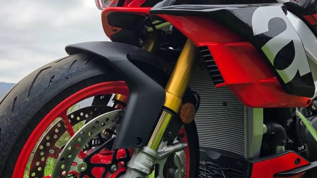 Aprilia Tuono V4 Factory (2021 - 24)  (8)