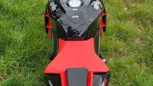 Aprilia Tuono V4 Factory (2021 - 24)  (10)