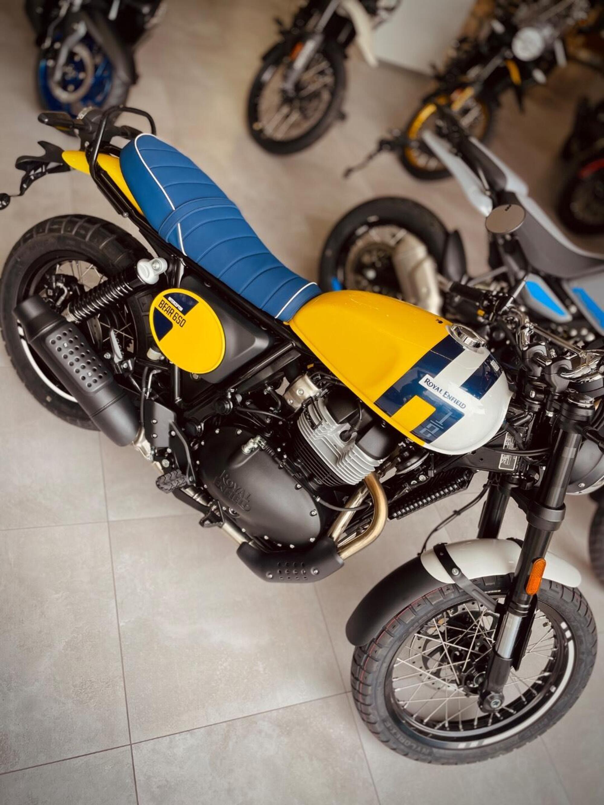 Royal Enfield Bear 650 (2025 - 26) Nuova