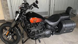 Harley-Davidson Street Bob 114 (2021 - 24) 