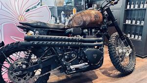 Triumph Bonneville SE (2009 - 13) 