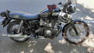 Triumph Bonneville T100 (2008 - 16) 