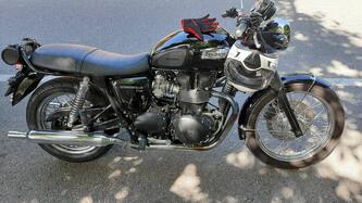 Triumph Bonneville T100 (2008 - 16) usata