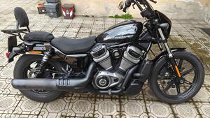 Harley-Davidson Nightster (2023 - 25) 