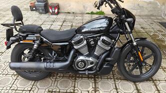 Harley-Davidson Nightster (2023 - 25) usata