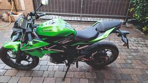 Kawasaki Z 125 (2019 - 20) 
