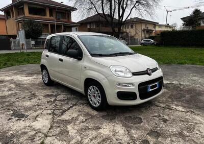 Fiat Panda 1.2 Easy  usata