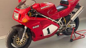 Ducati  