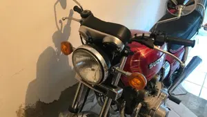 Suzuki   (13)