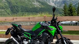 Kawasaki Z 900 Performance (2021 - 24) 