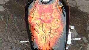Harley-Davidson 883 Custom (2008 - 12) - XL 883C 