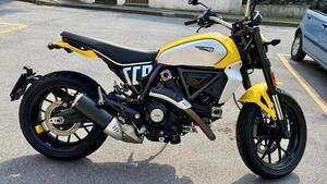 Ducati Scrambler 800 Icon (2023 - 25) 