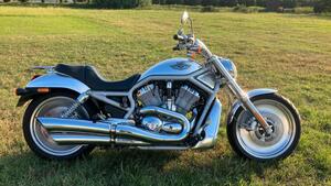Harley-Davidson 1130 V-Rod (2002 - 05) - VRSCA 