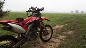 Honda CRF 450 RX Enduro (2018) 
