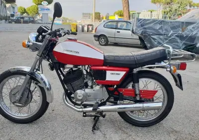 Moto Guzzi 250 TS - Annuncio 9665578