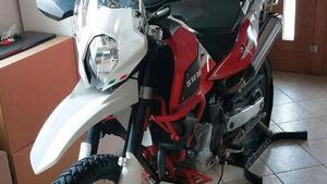 Swm Superdual 600 X (2018 - 20) 