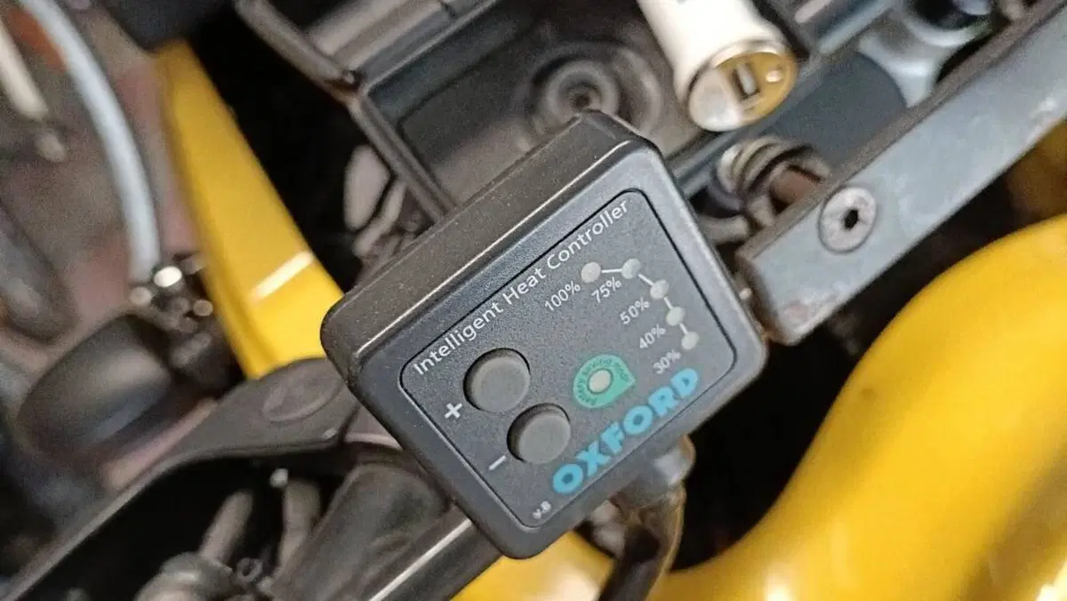 Bmw R 1150 GS (1999 - 03)  (10)