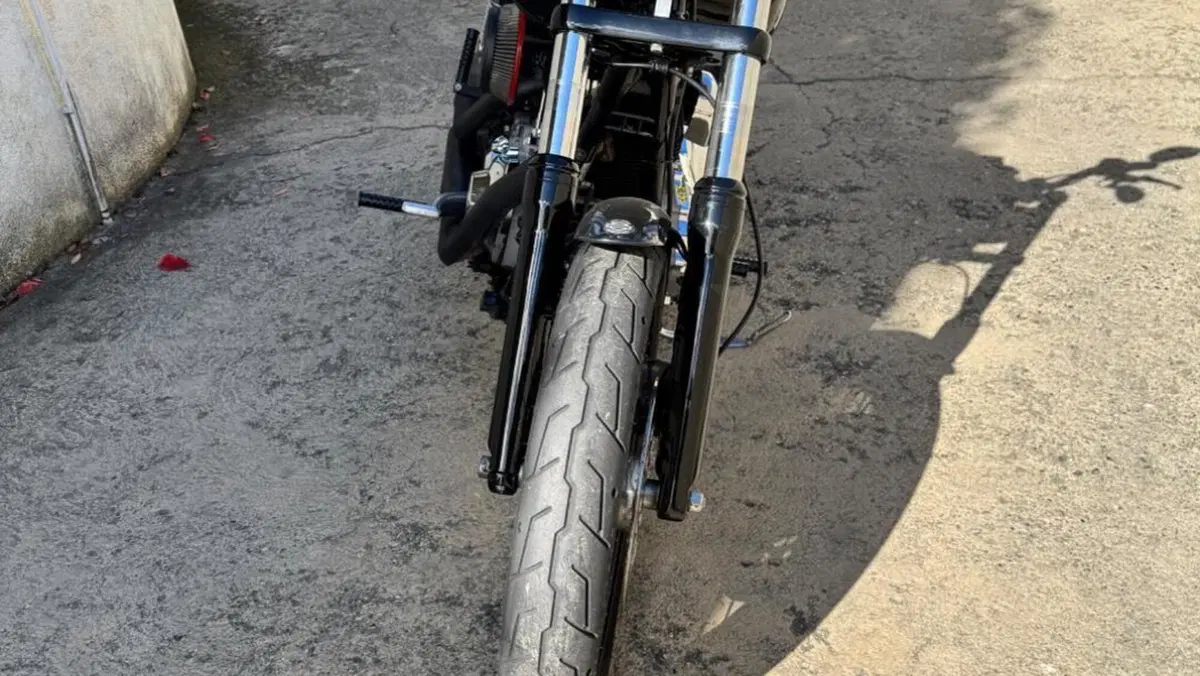 Harley-Davidson 1584 Street Bob (2008 - 15) - FXDB  (3)