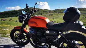 Moto Guzzi V7 Stone (2021 - 24)  (3)
