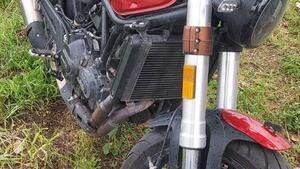 Benelli Leoncino 500 (2021 - 25) 