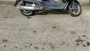 Aprilia Atlantic 500 (2003 - 04) 
