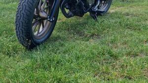 Honda CMX 500 Rebel (2022 - 24) 