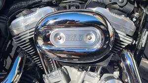 Harley-Davidson 883 (2006 - 07) - XL 
