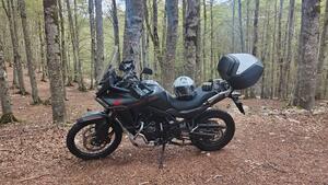 Honda Transalp XL750 Urban (2023 - 24) 