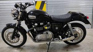 Triumph Thruxton 900 ACE (2014 - 15) 