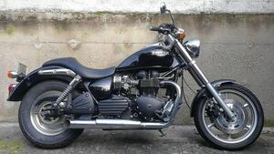 Triumph Speedmaster (2003 - 05) 
