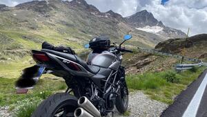 Suzuki SV 650 X - Ter (2018 - 20) 