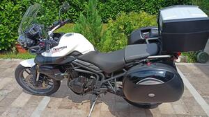 Triumph Tiger 800 ABS (2010 - 14) 