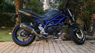 Suzuki SV650 (2021 - 24) usata