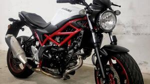 Suzuki SV650 (2021 - 24) 