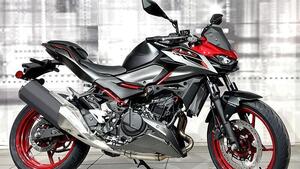 Kawasaki Z 500 SE (2024 - 25) 