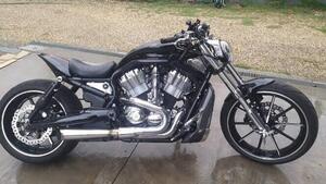 Harley-Davidson 1130 V-ROD (2002 - 05) - VRSCB 