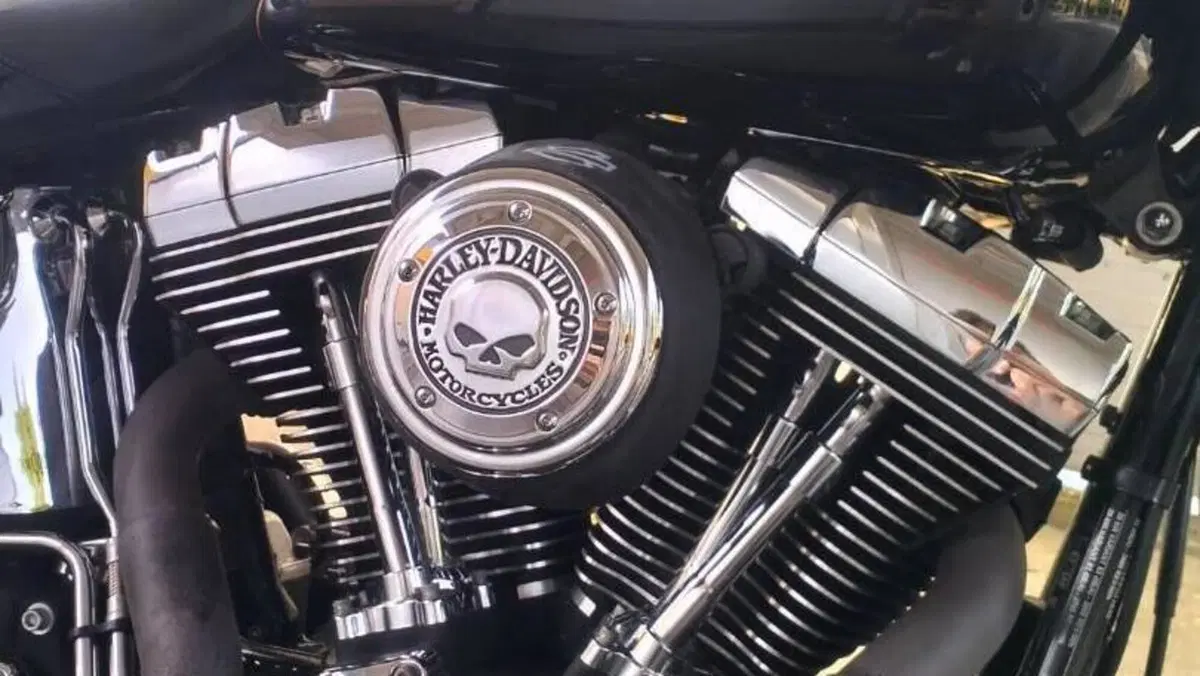 Harley-Davidson 1690 Deluxe ABS (2011 - 16) - FLSTN 
