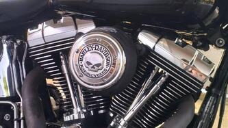 Harley-Davidson 1690 Deluxe ABS (2011 - 16) - FLSTN usata