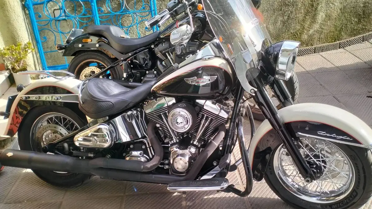Harley-Davidson 1690 Deluxe ABS (2011 - 16) - FLSTN  (6)