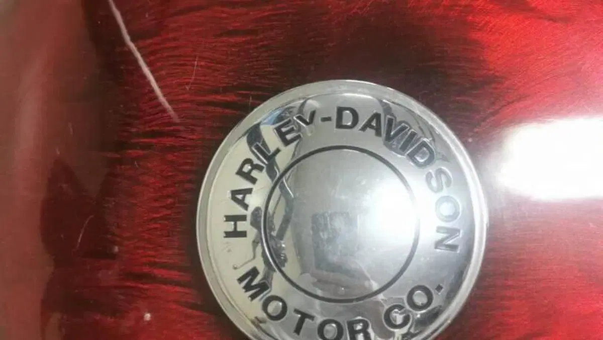 Harley-Davidson 883 Standard (1994 - 00) - XLH  (13)