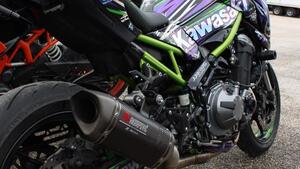 Kawasaki Z 900 A2 (2019) 