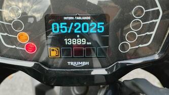 Triumph Tiger Sport 660 (2022 - 24) usata