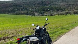 Honda CL500 (2023 - 24) 