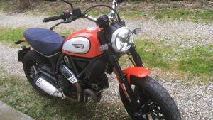 Ducati Scrambler 800 Icon (2017 - 20) 