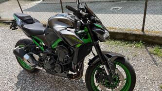 Kawasaki Z 900 (2021 - 24) usata