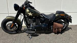 Harley-Davidson 1800 Slim S (2015 - 17) - FLS 