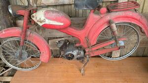 Bianchi  